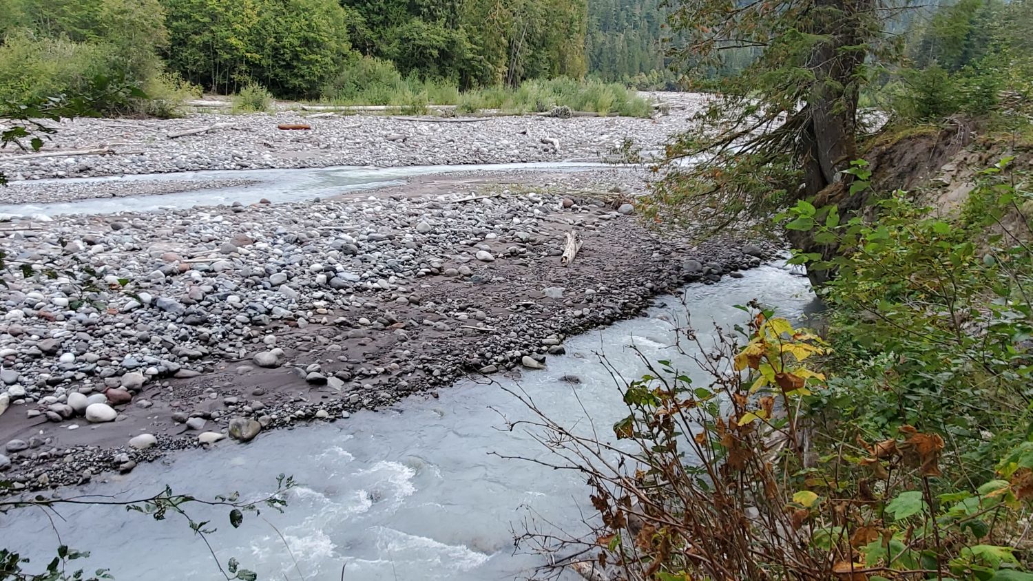 Mount Rainier NP 